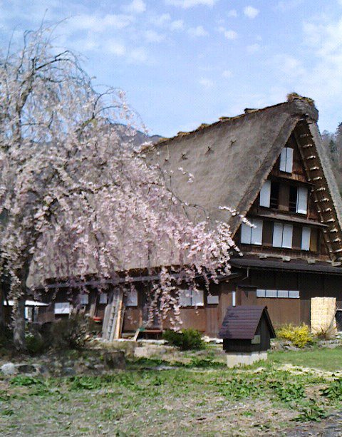 945082_539070246143679_230708343_n